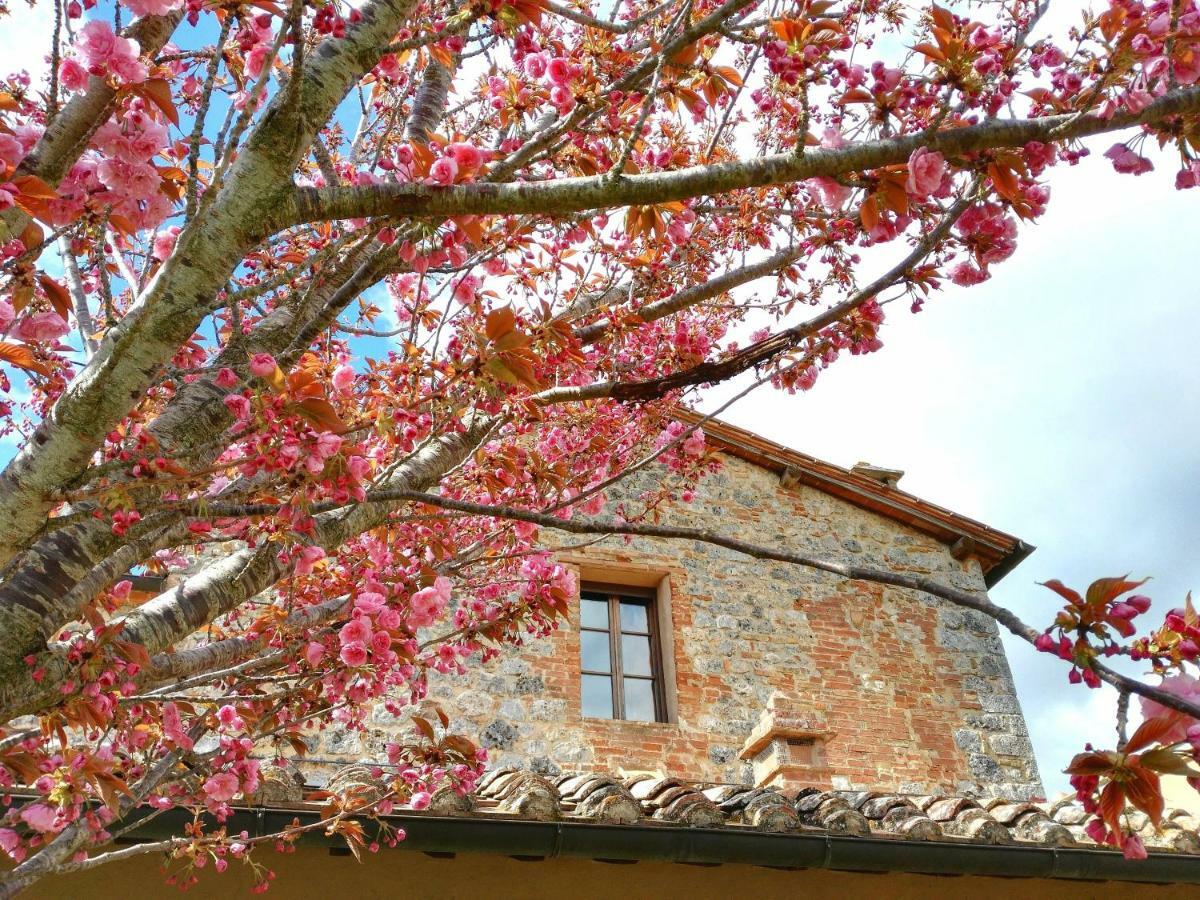 Bauernhof Borgo De Brandi