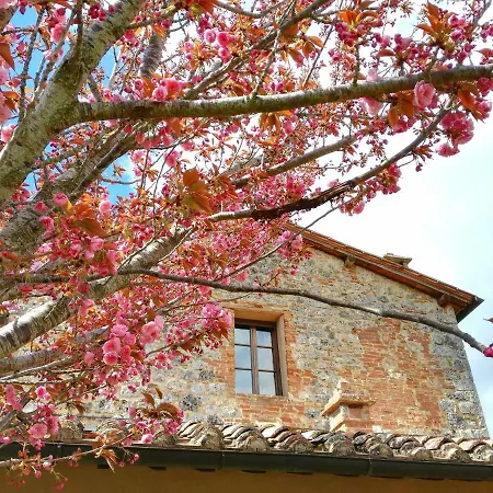 Borgo De Brandi Villa Monteriggioni Exterior photo