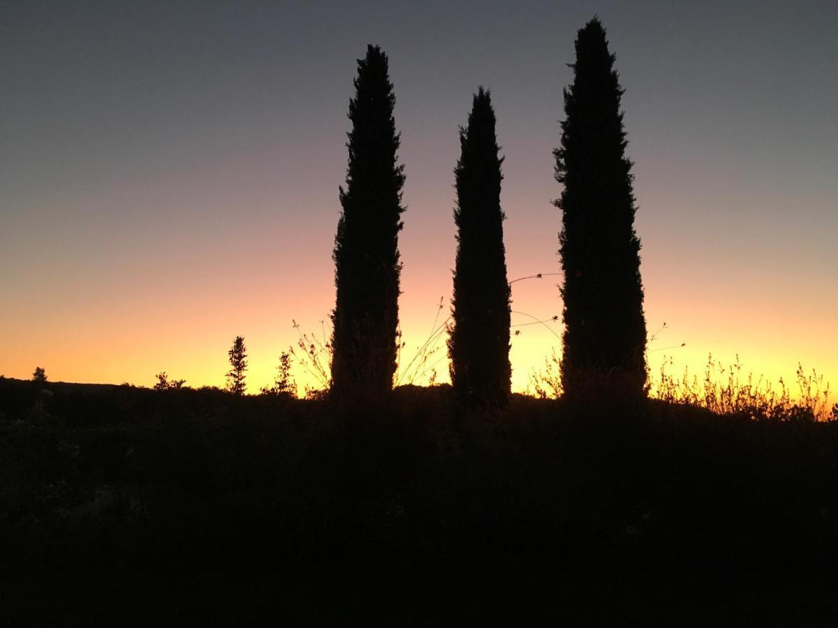 Alojamento de Turismo Rural Borgo De Brandi *